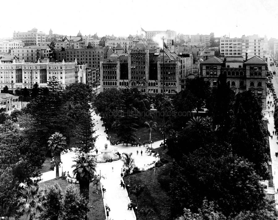 Central 14.jpg